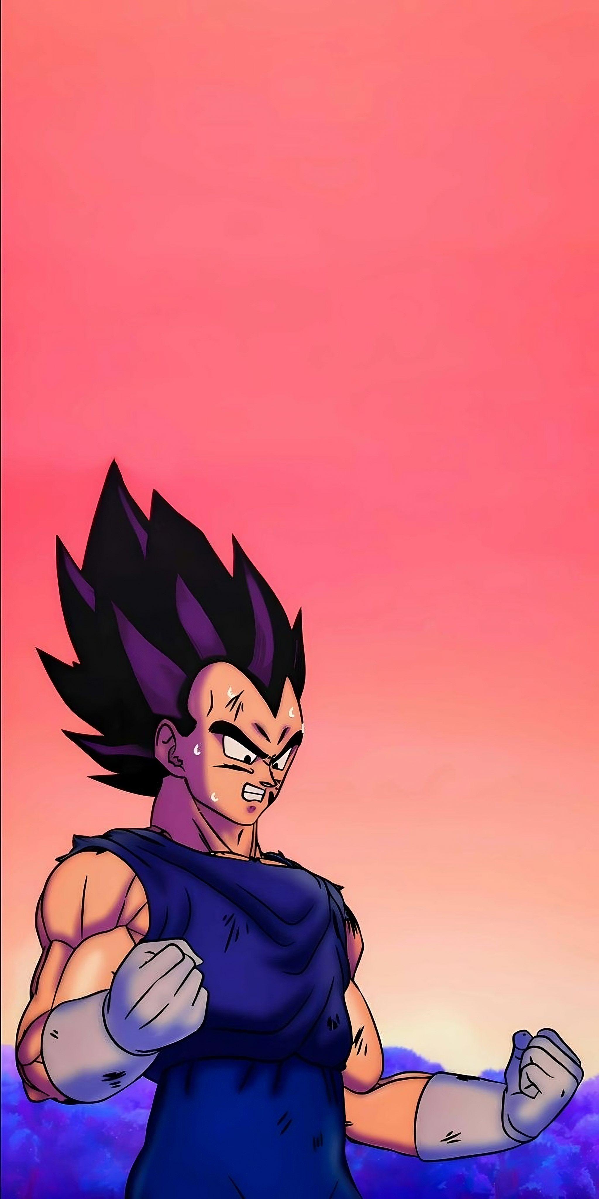 Anime Vegeta Saiyan Wallpaper