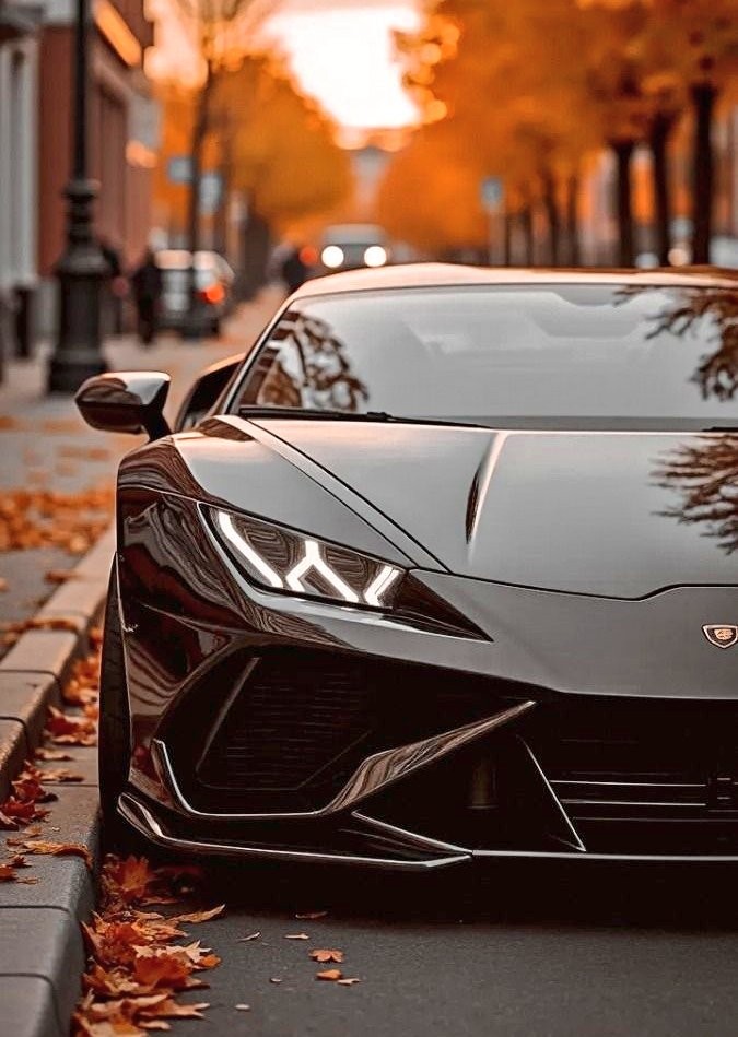 Dark Lamborghini with LED Headlights in Fall Colors