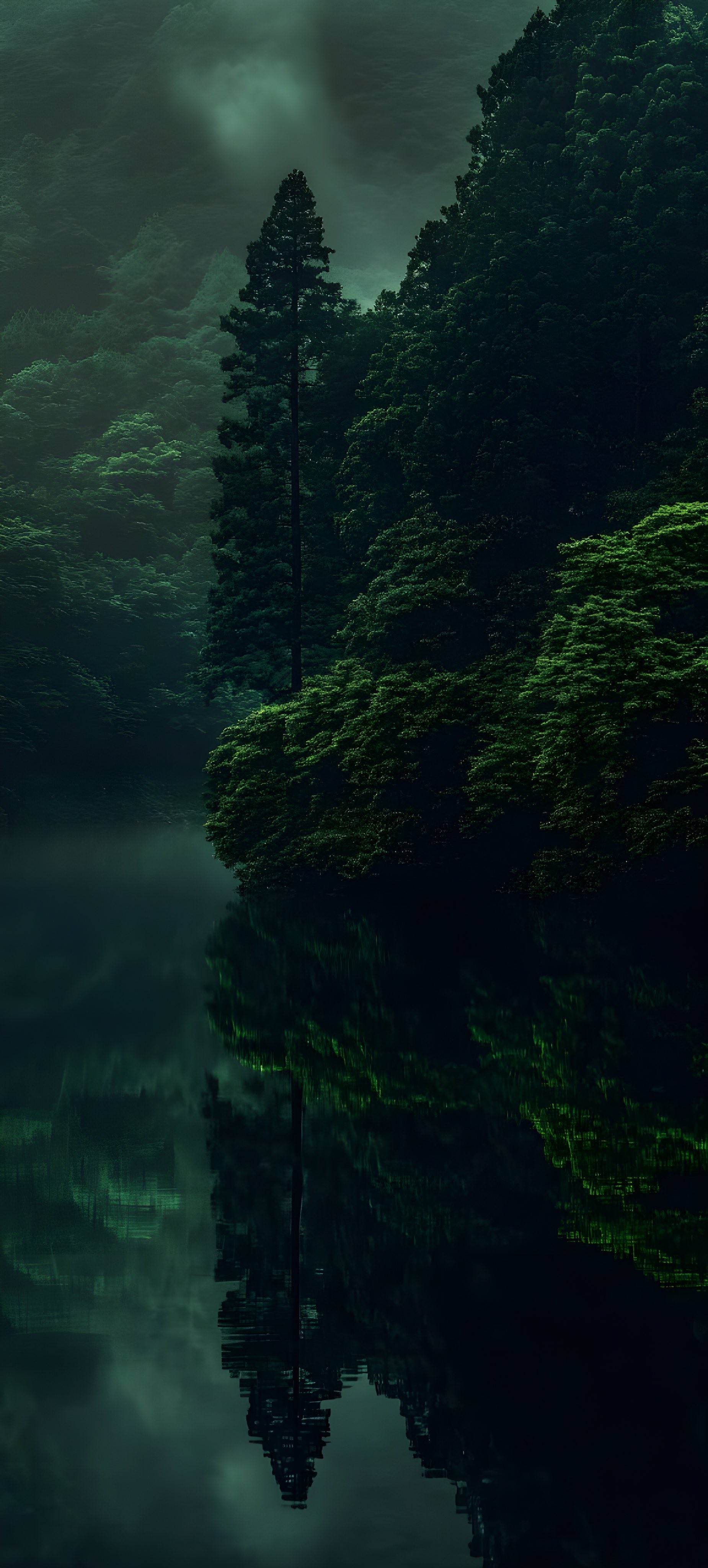 Mystic Reflections in the Forest Mist