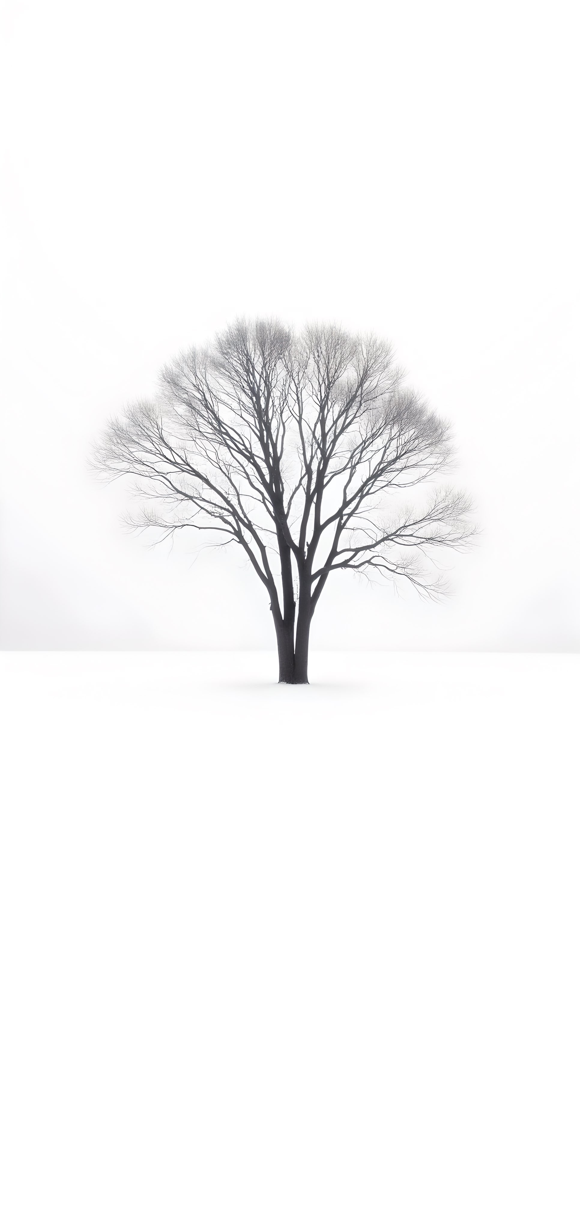 Random Minimal Back and White 4K
