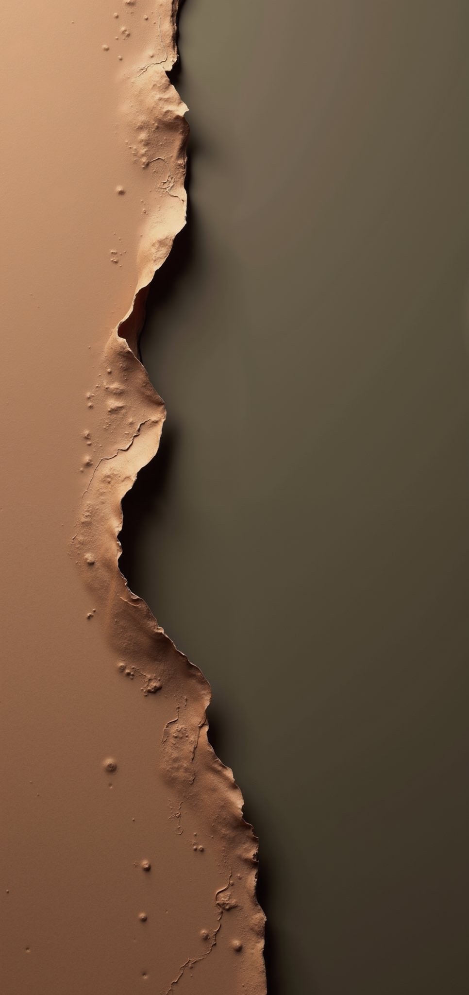 Rich Mocha and Muted Olive 4K