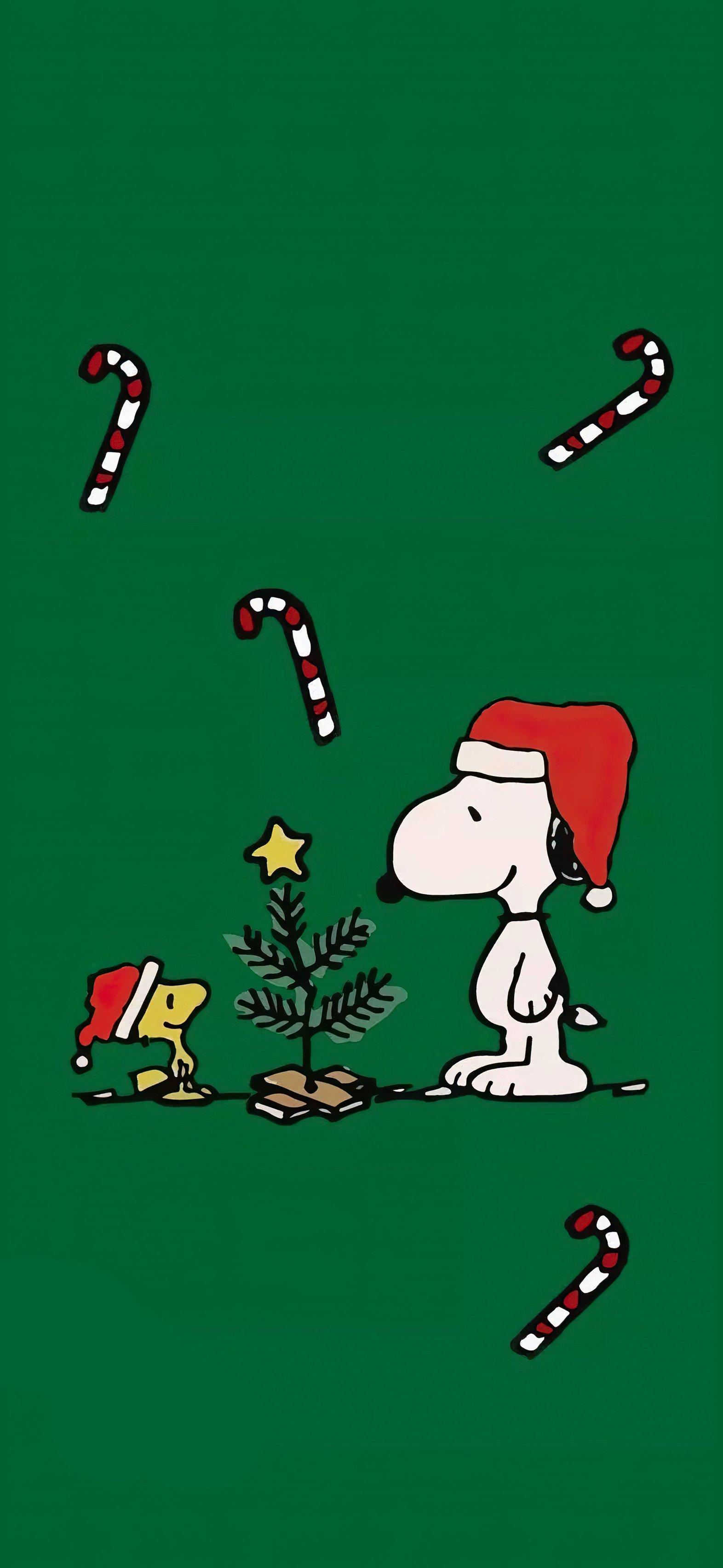 Snoopy X Christmas