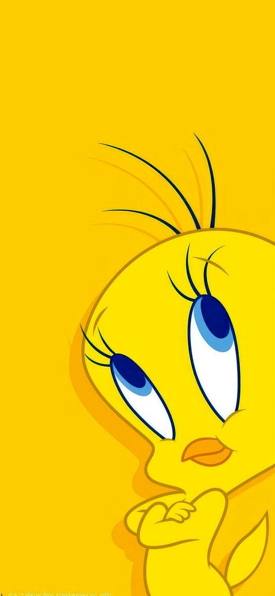 Tweety Bird Wallpaper