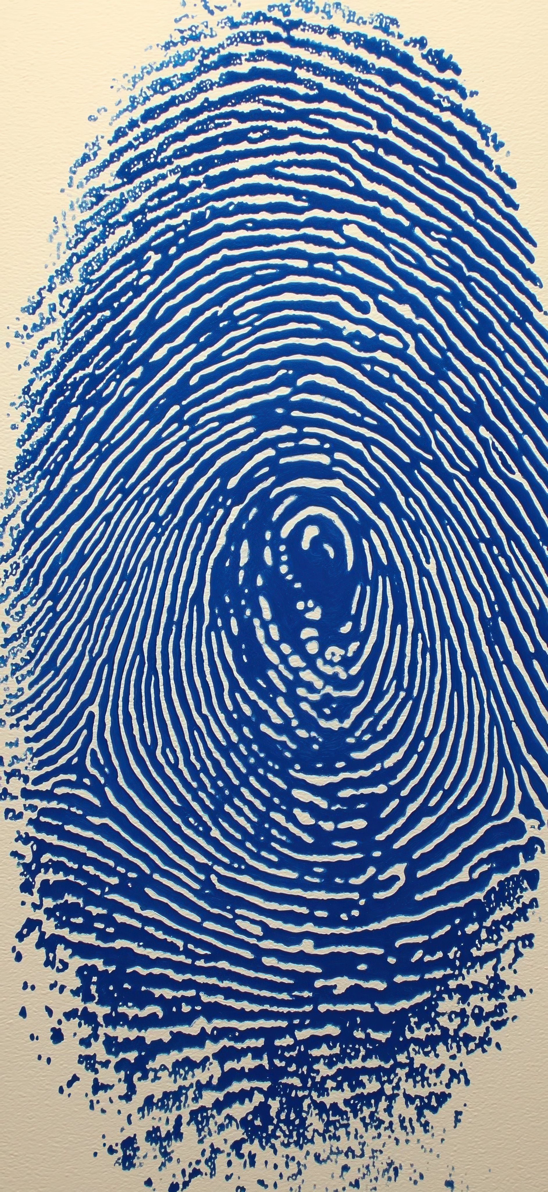 Unique Swirls of a Human Fingerprint