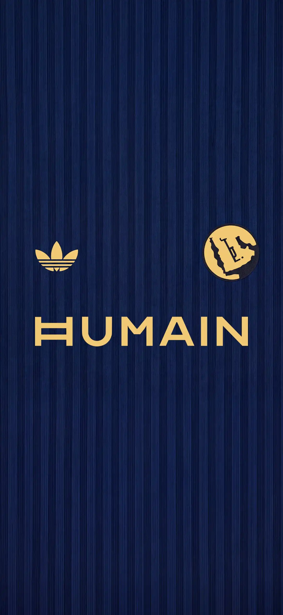 Al Nassr Blue Jersey Adidas Humain HD