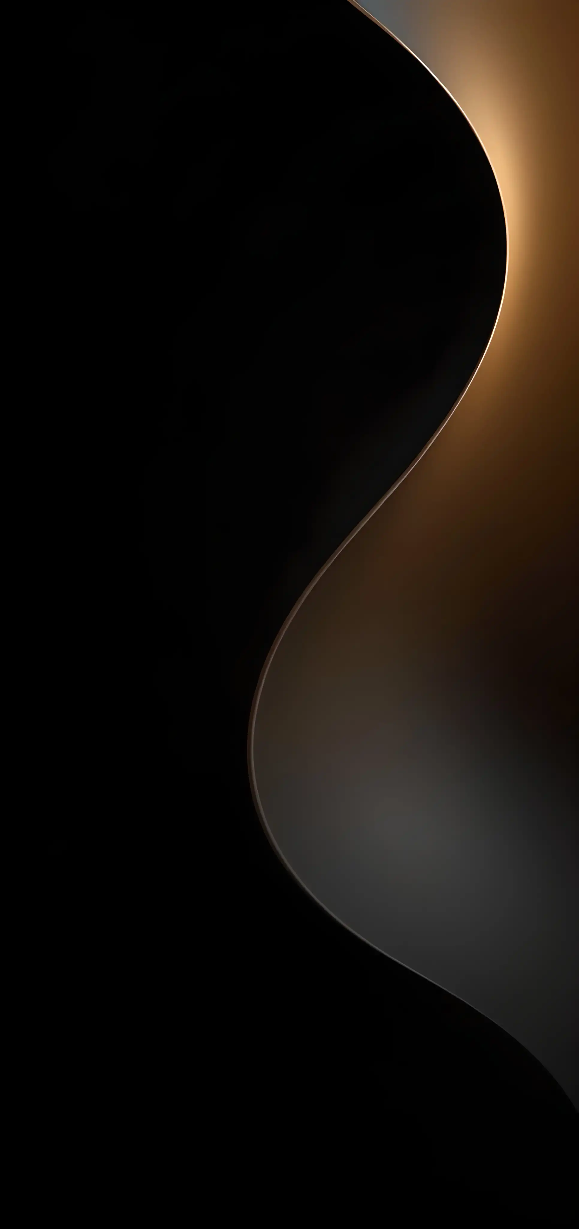 Black Gold Curved Abstract