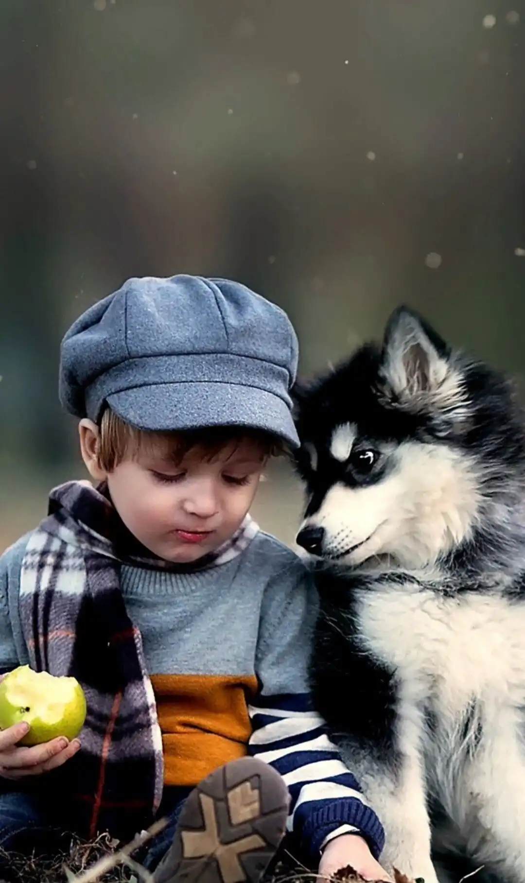 Boy and Husky Dog Friendship Outdoor