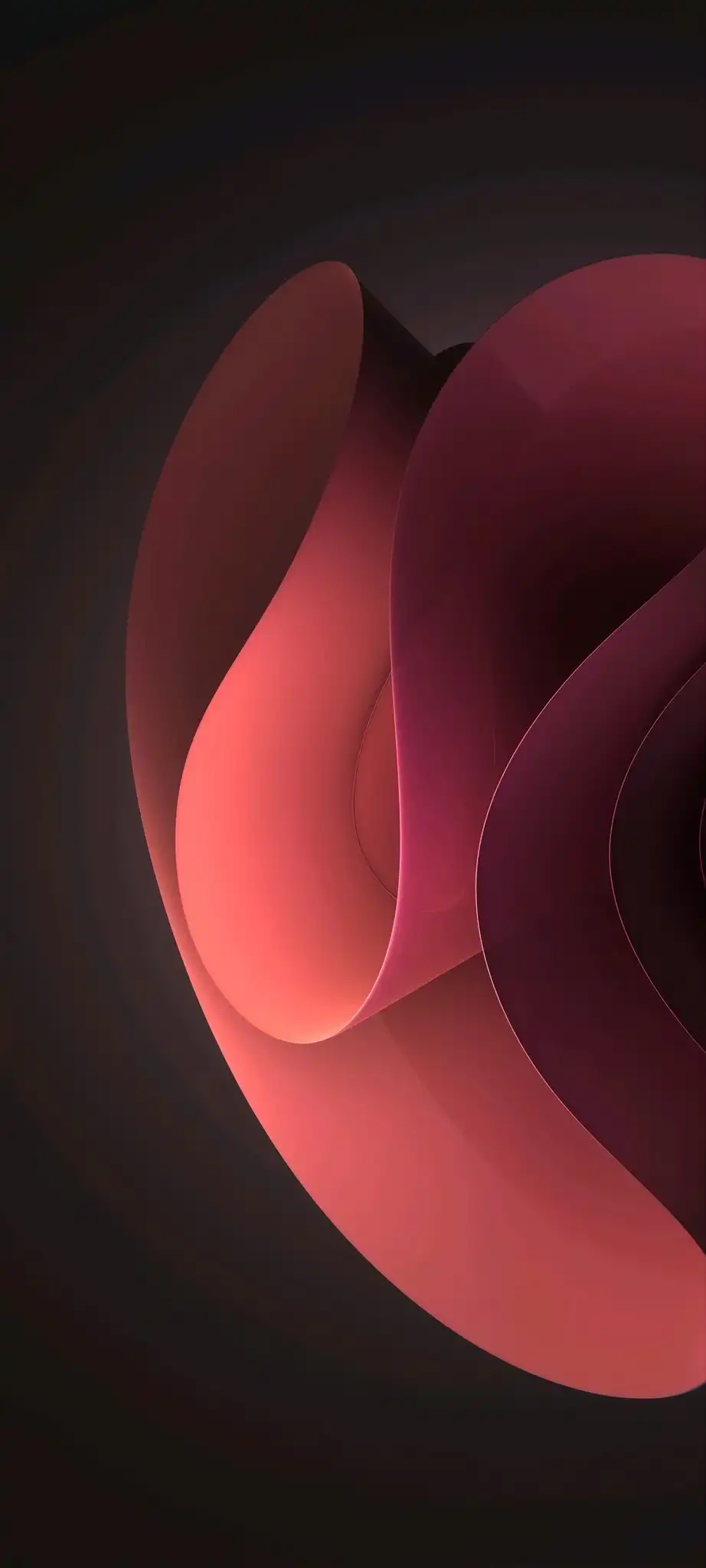 Crimson Rose Gold Fluid Sculptural Twist 4K