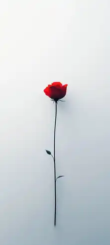 Happy Valentines Day