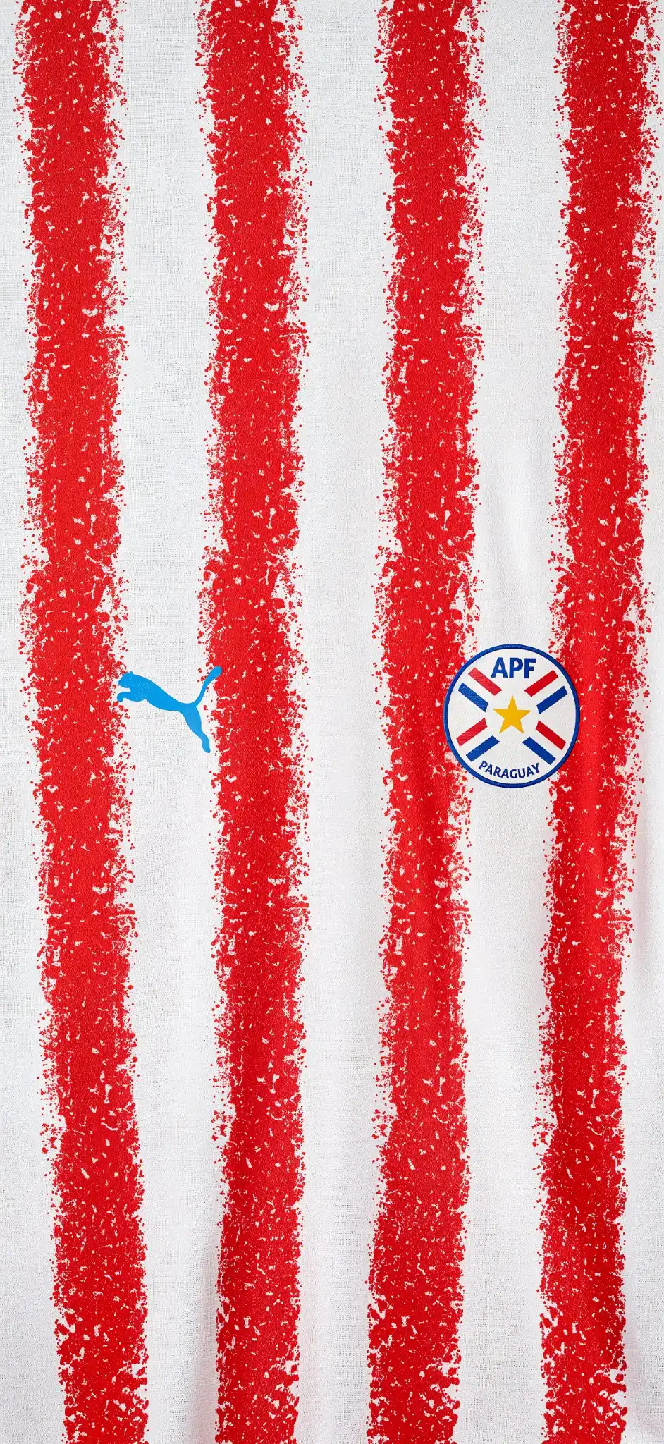 Paraguay National Team Puma Striped Jersey