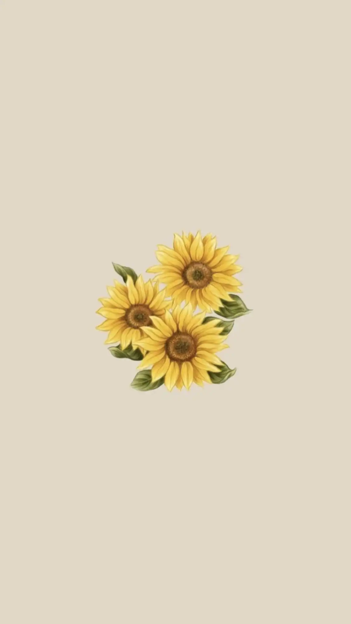 Three Yellow Sunflowers Minimalist Illustration HD